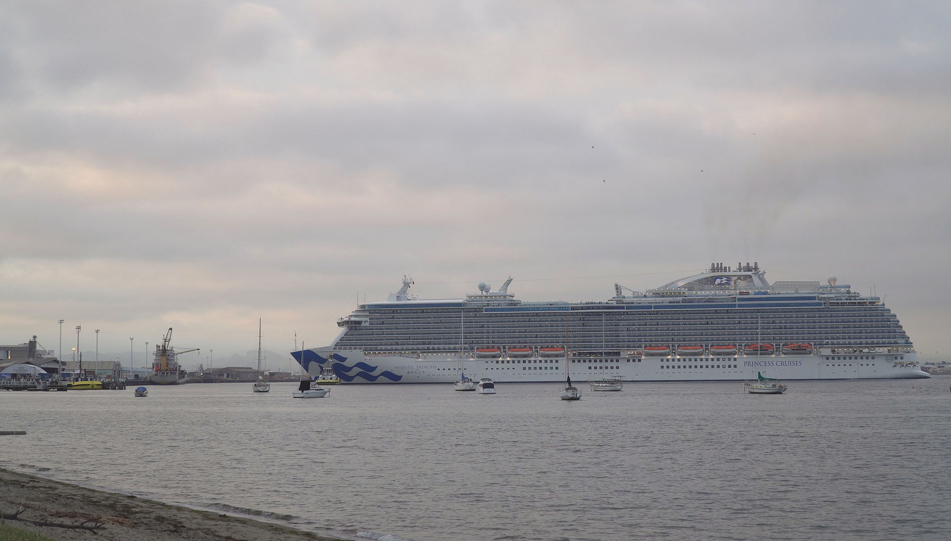 Majestic Princess